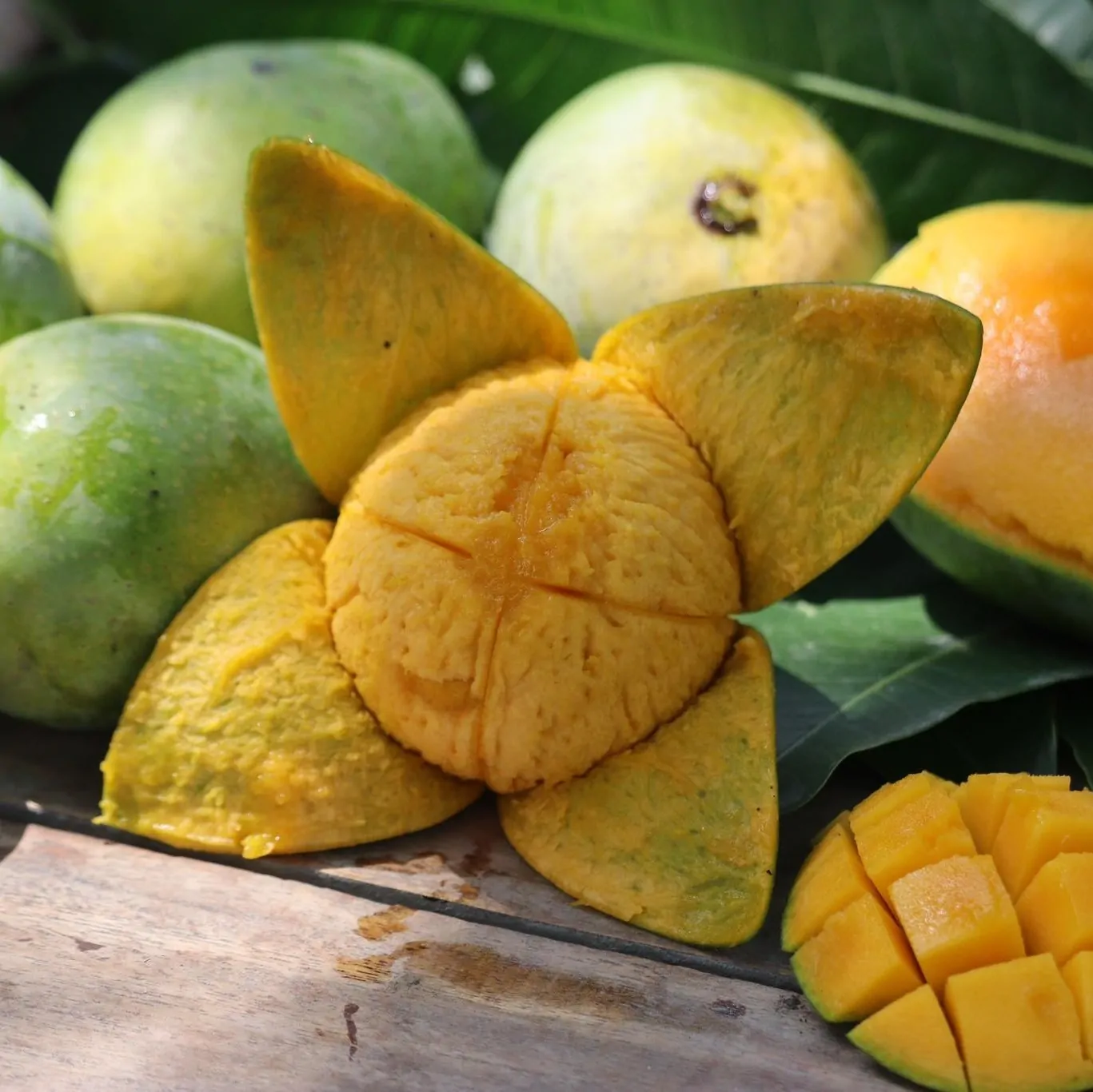 NAHAL MANGO