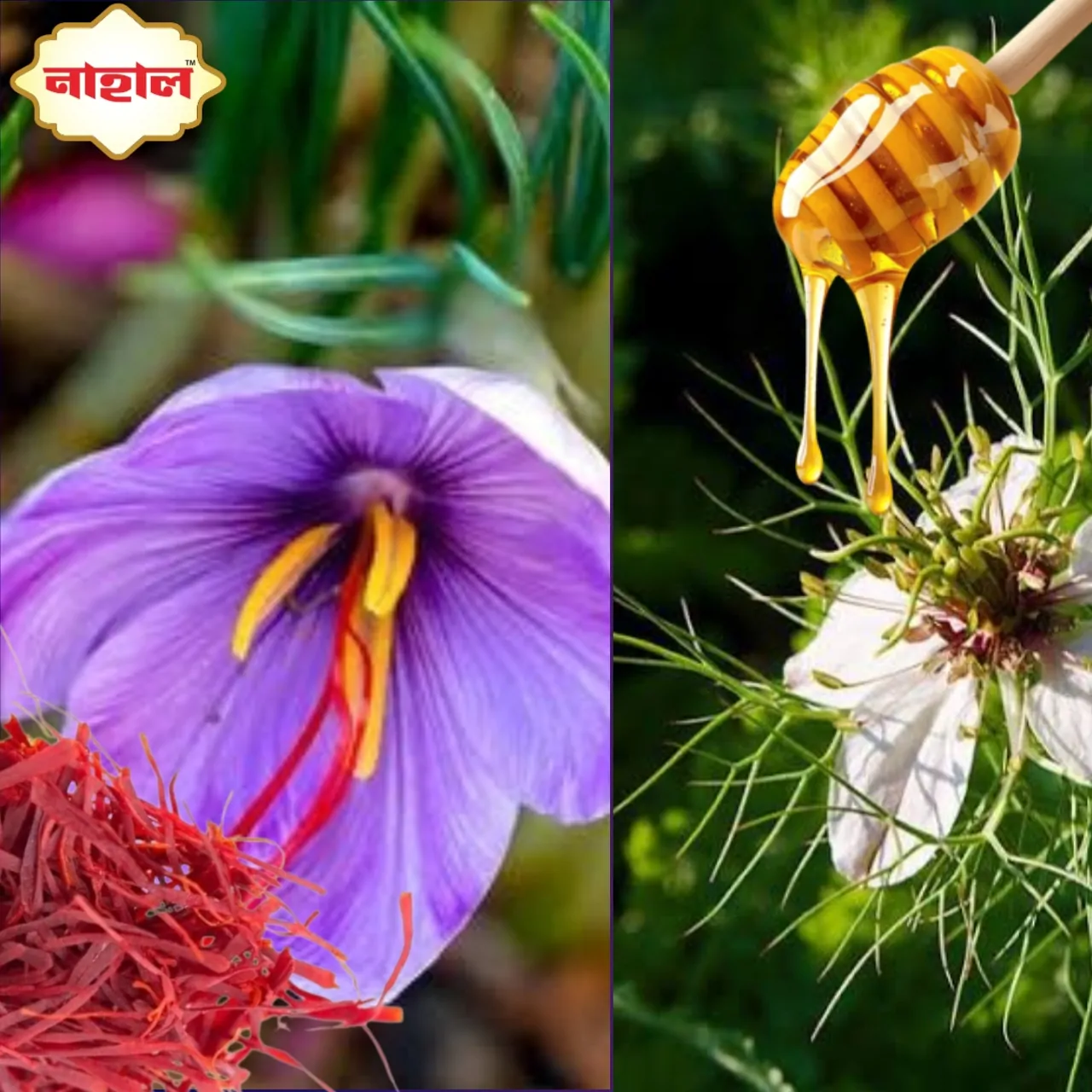 Blackseed with saffron